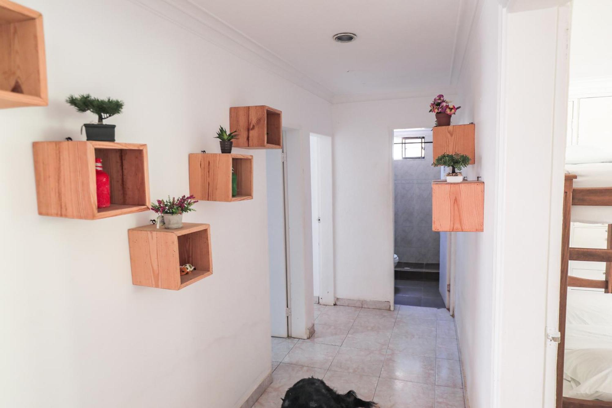 Hostal Palo Alto San Andrés 外观 照片